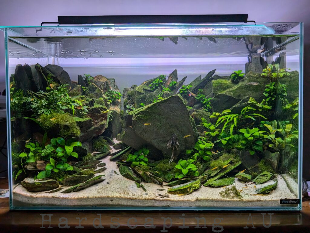 Australian Planted Slate Aquascape Aquarium