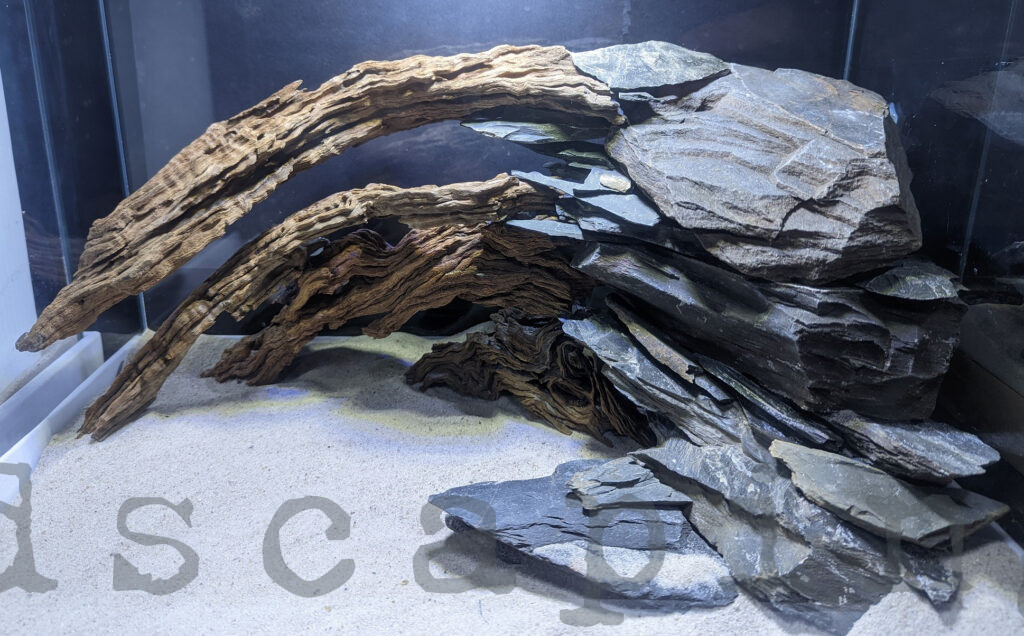 Wood and slate aquascape