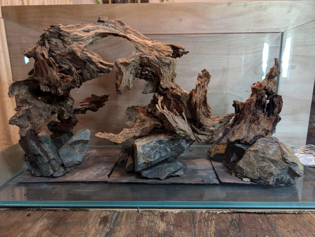 Australian wood art sculpture
