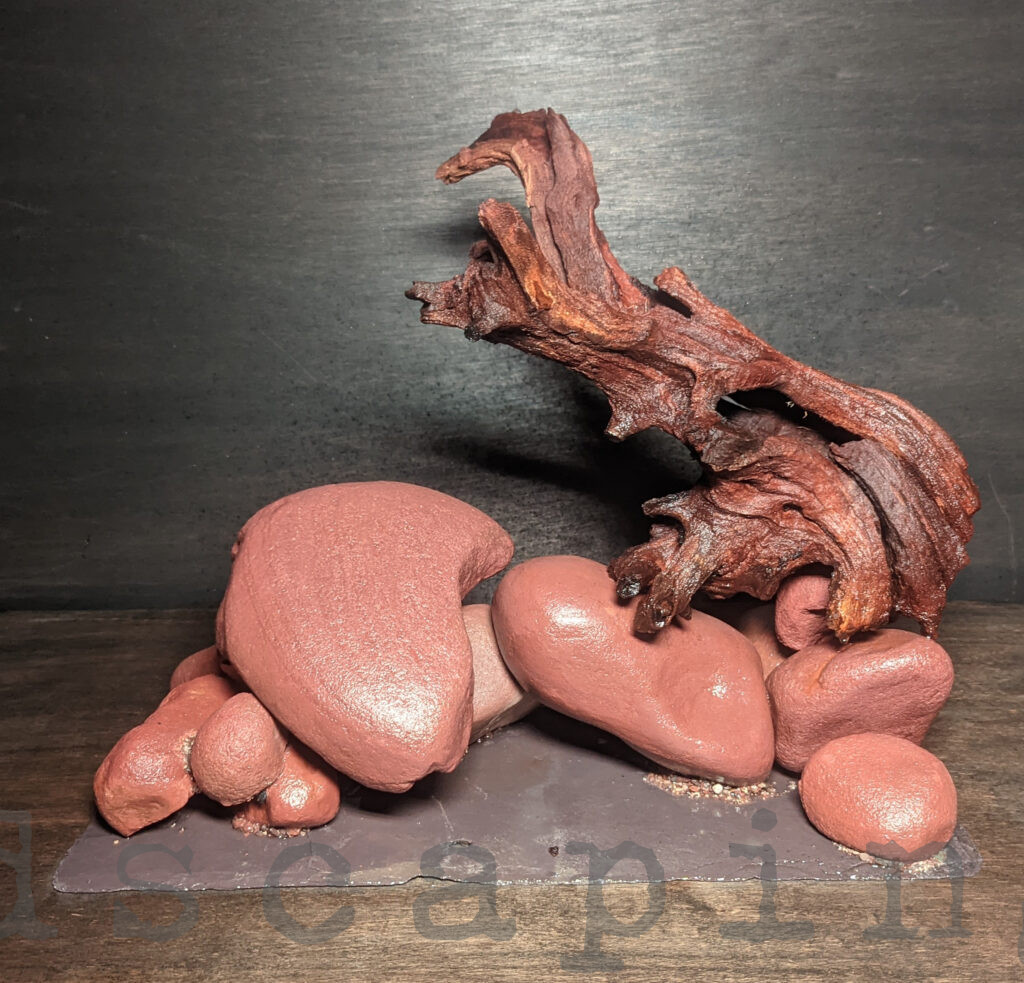 Red river rock aquascape